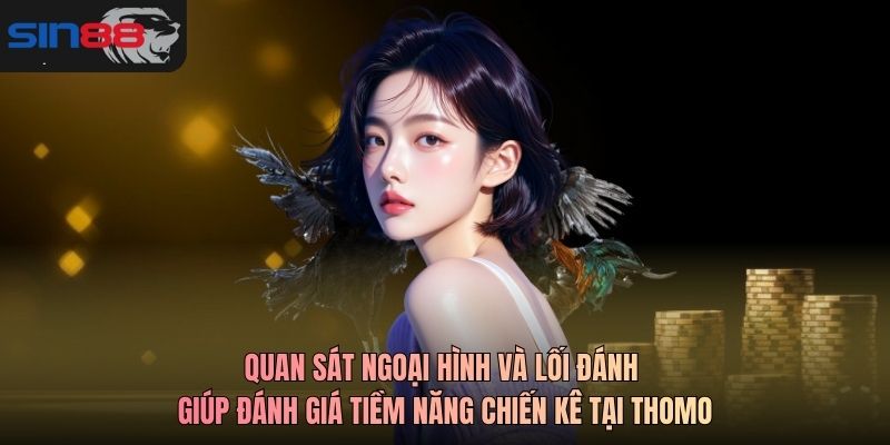 Quan sát ngoại hình và lối đánh giúp đánh giá tiềm năng chiến kê tại Thomo